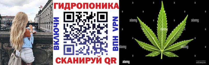 сколько стоит  Владикавказ  МАРИХУАНА конопля 